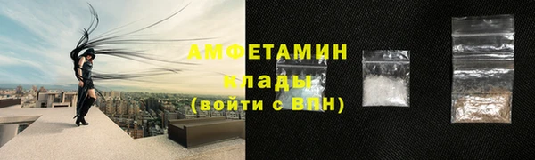прущие грибы Бронницы