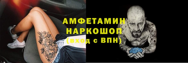 прущие грибы Бронницы