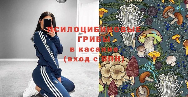 прущие грибы Бронницы