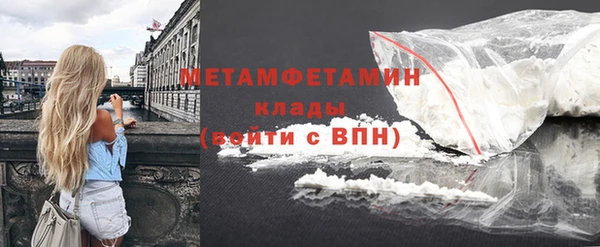 ГАЛЛЮЦИНОГЕННЫЕ ГРИБЫ Богданович