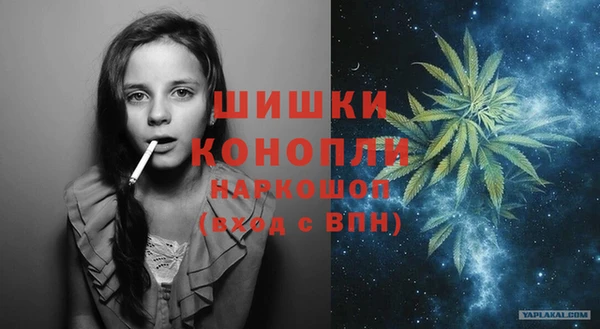 прущие грибы Бронницы