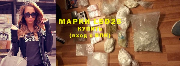 прущие грибы Бронницы