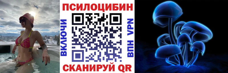 Купить где  Лодейное Поле  Псилоцибиновые грибы Cubensis 